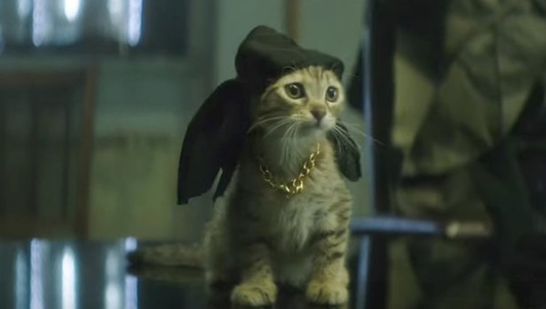 ‘Keanu’ Is The Best Violent Comedy Starring A Cute Kitten You’ll See This Year