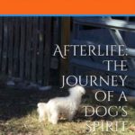afterlife book cover