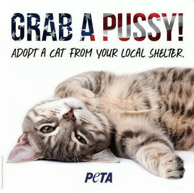 PETA Launched A ‘Grab A Pussy’ Campaign And Didn’t See The Backlash Coming