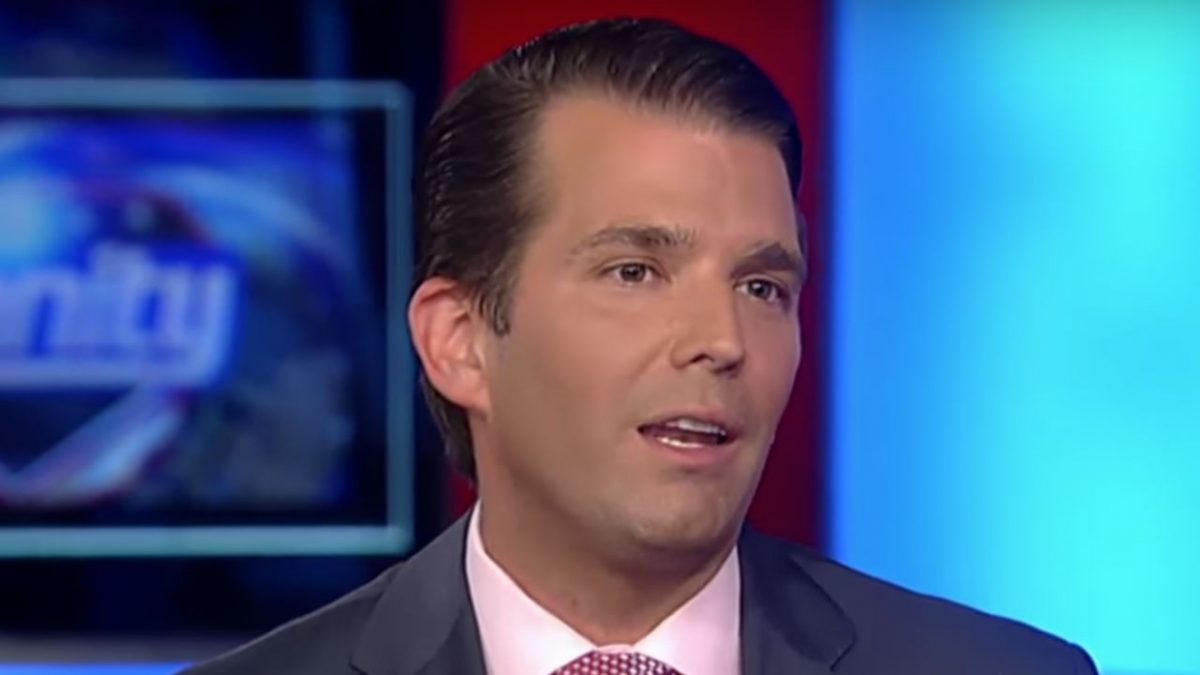 Don Jr. Tosses Out Old Right-Wing Smear To Attack Martha Raddatz For Column On Vets