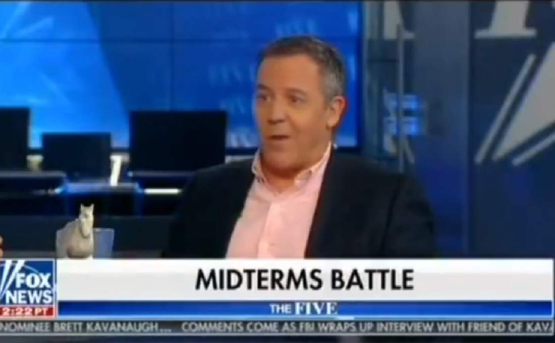 Fox’s Greg Gutfeld: A ‘Lot Of Mama Bears’ Are Worried About Their Sons Amid Kavanaugh Allegations