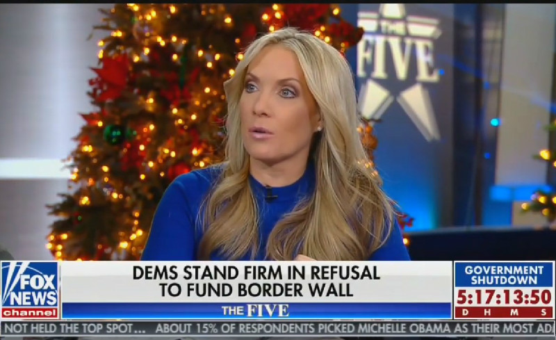 Fox’s Dana Perino Predicts Shutdown Will Last Until State Of The Union: Trump’s ‘Going To Dig In His Heels’