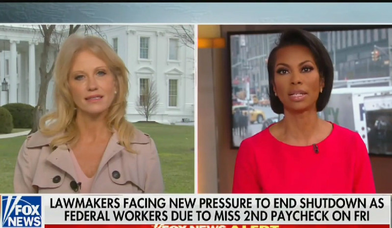 Kellyanne Conway Sputters When Fox’s Harris Faulkner Grills Her On Trump Ending Shutdown