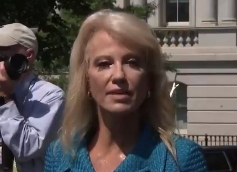 ‘What’s Your Ethnicity?!’: Kellyanne Conway Snaps at Reporter for Asking About Trump’s Racist Tweets