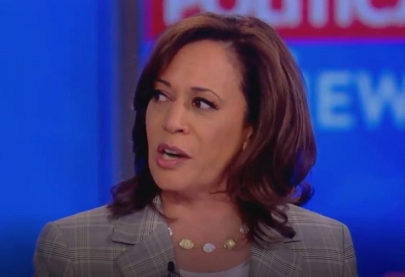 Kamala Harris Brushes Off Meghan McCain’s Attempt to Run Interference for Joe Biden on ‘The View’