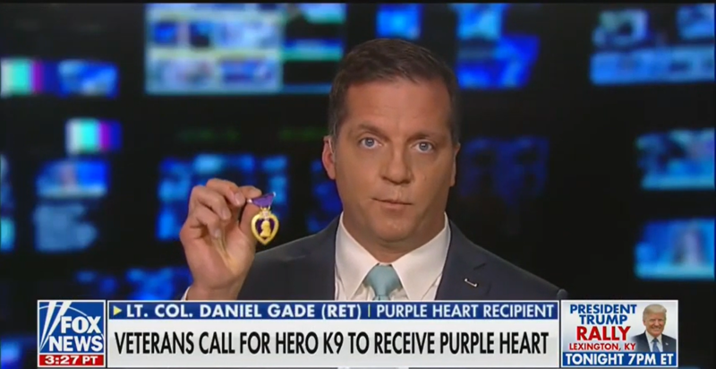 Veteran on ‘Fox & Friends’ Offers His Purple Heart to Dog Injured in al-Baghdadi Raid