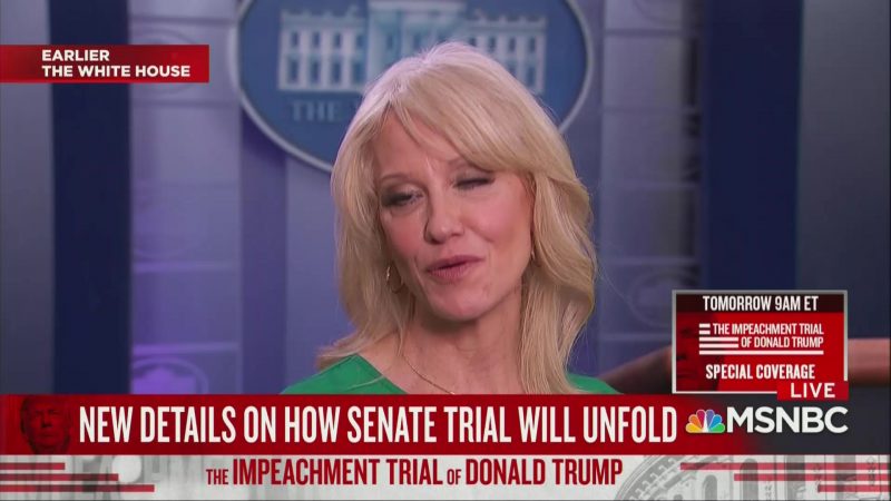 Kellyanne Conway Invokes MLK, Claims He’d Be Against Trump’s Impeachment