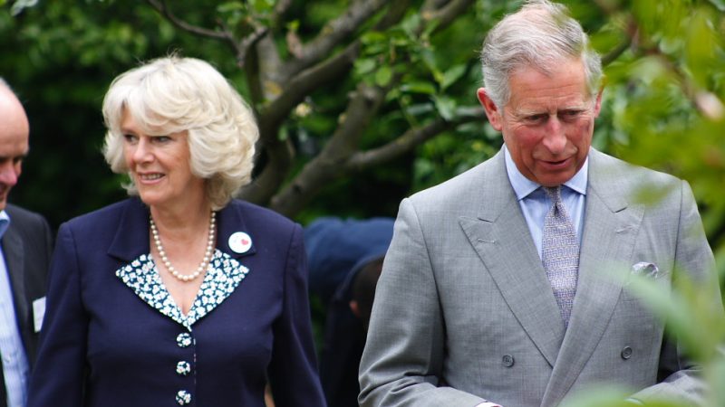 Britain’s Prince Charles Tests Positive for Coronavirus