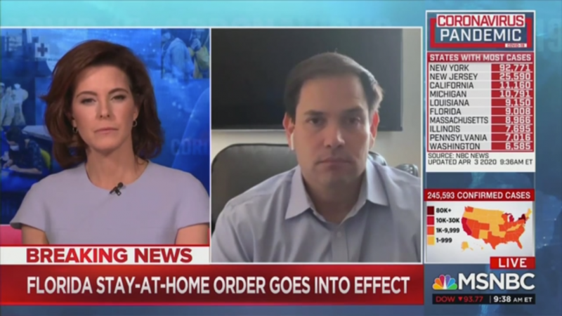 Stephanie Ruhle Grills Marco Rubio: ‘What in the World is Going On’ in Florida?