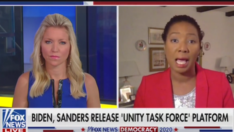 Fox News Guest: BLM Is ‘Making Demands That the Father Leave the Home’