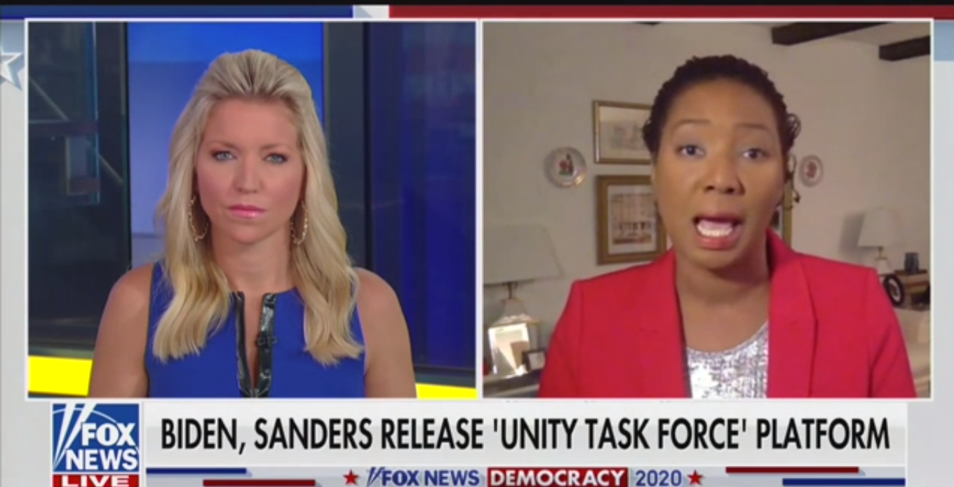 Fox News Guest: BLM Is ‘Making Demands That the Father Leave the Home’