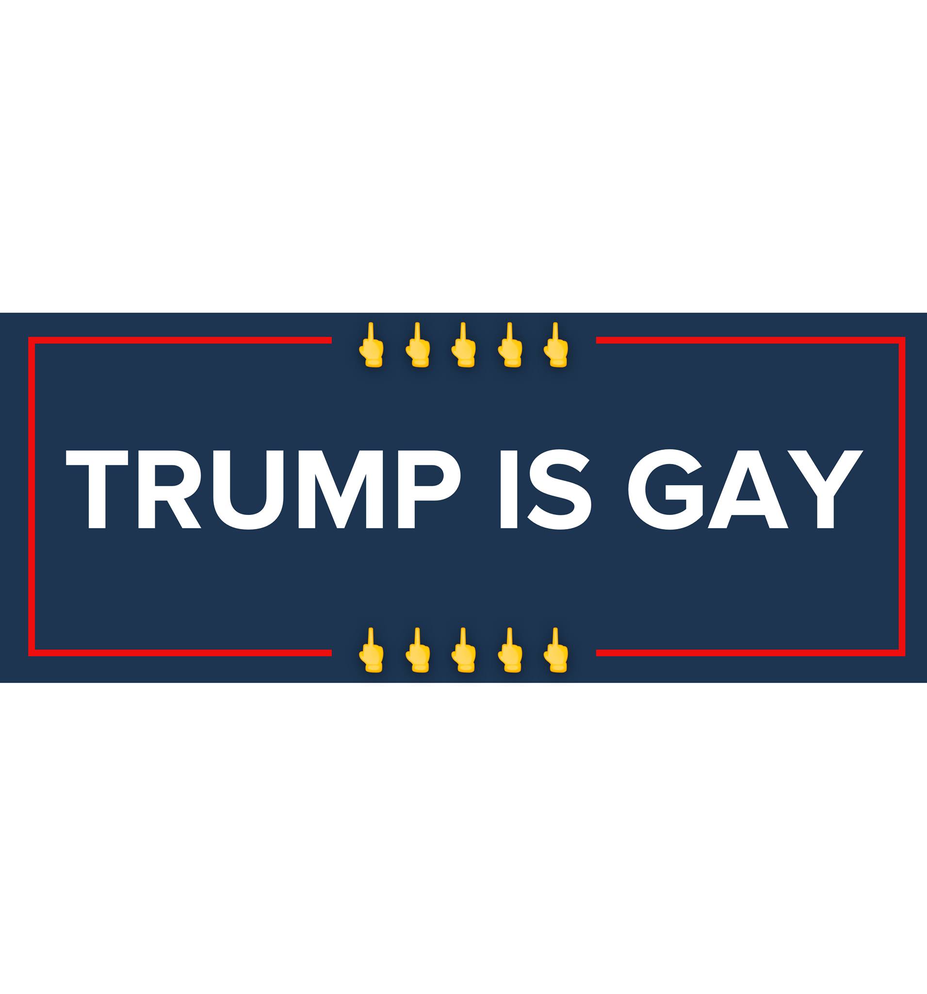 ‘Donald Trump Is Gay’: New Website Mocks ‘Bigot’ President-Elect
