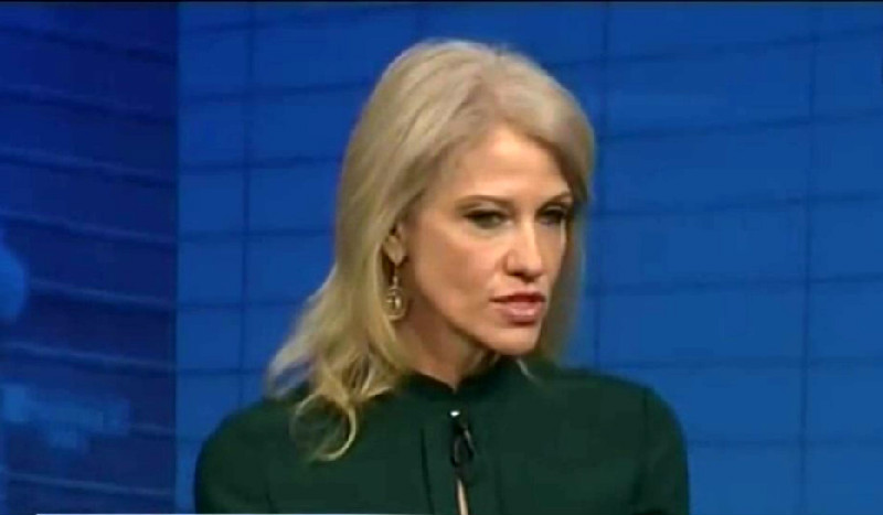 ‘Some Of Those Twitter Feeds Are A Hot Mess’: Kellyanne Conway Criticizes Reporters’ Tweets