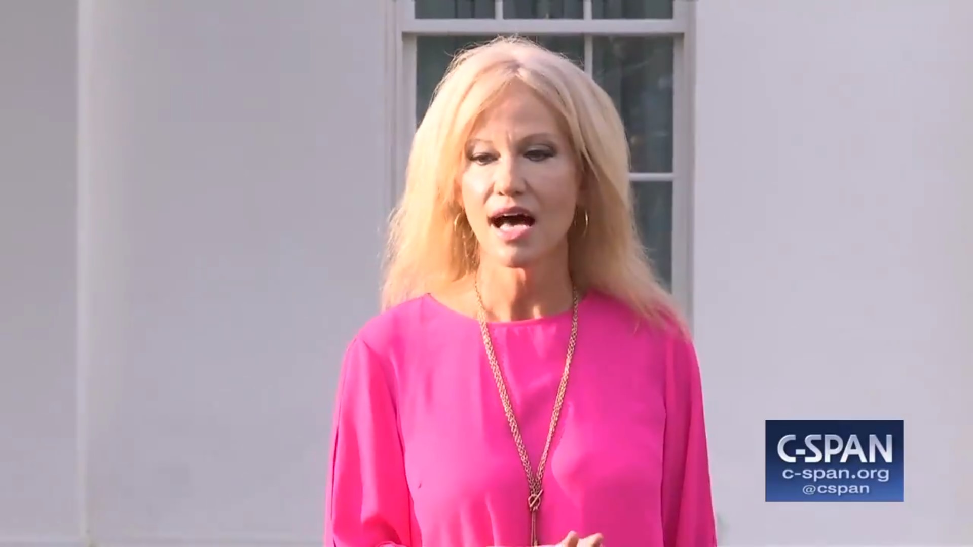 Kellyanne Conway: ‘It’s Kind Of Weird’ How Everyone’s Obsessed With The President