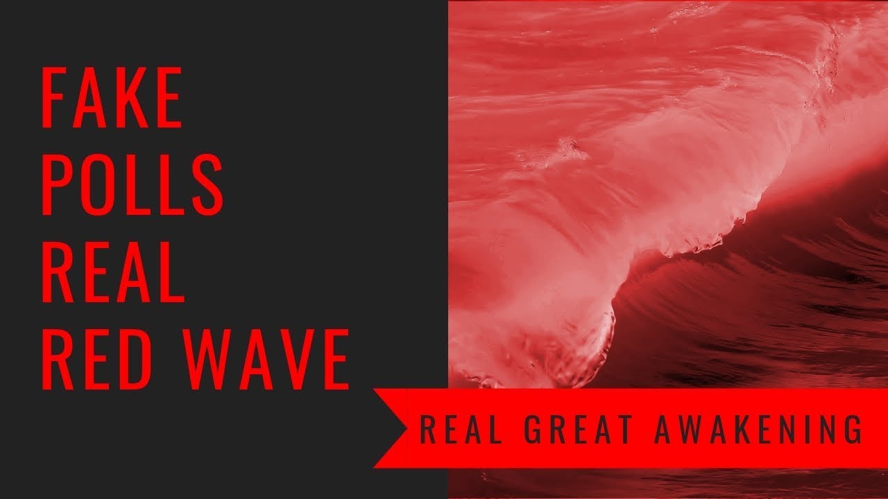 QAnon Believers Melt Down After The Midterm Election ‘Red Tsunami’ Fails To Come To Pass