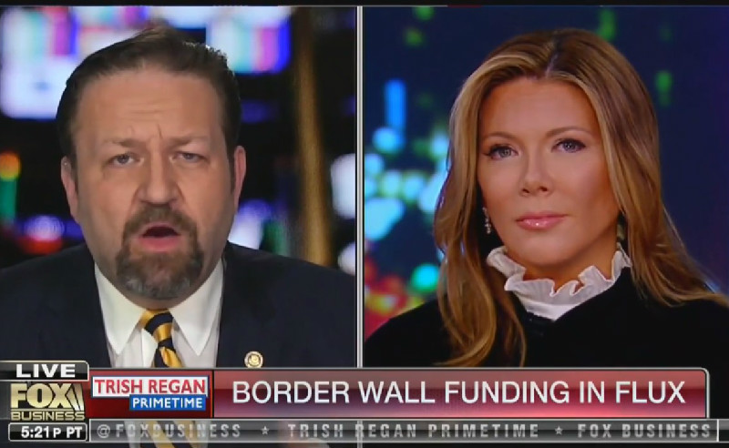 Fox’s Sebastian Gorka: The Democratic Party Has ‘Become Fundamentally Un-American’