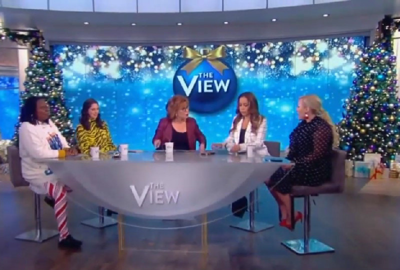 Meghan McCain and Joy Behar Absolutely Tear Into Each Other: ‘I Don’t Care What You’re Interested In!’