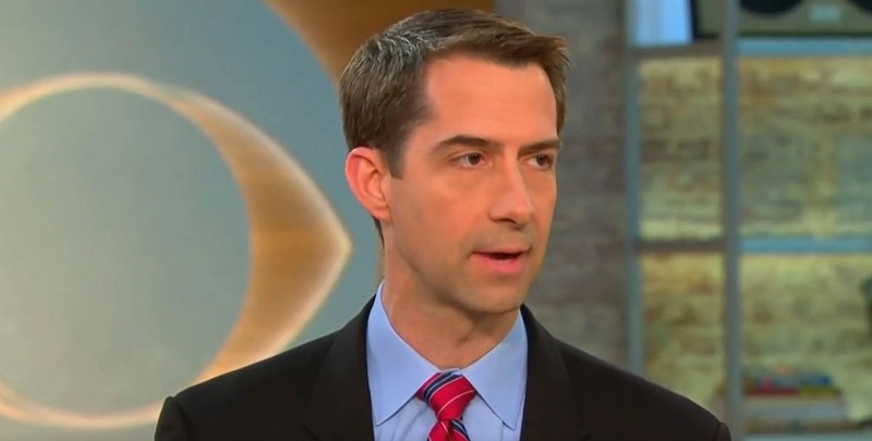 Tom Cotton Supports Trade War Because Sacrifices Are ‘Minimal’ Compared to a Real War