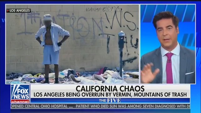 Fox’s Jesse Watters: Only ‘Solution’ to Homelessness Is ‘Bulldoze’ Area, ‘Institutionalize’ Everyone