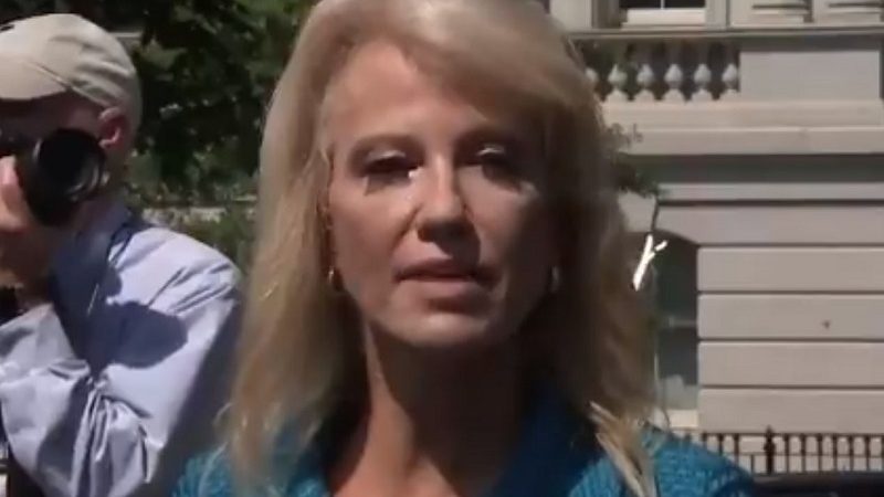 ‘What’s Your Ethnicity?!’: Kellyanne Conway Snaps at Reporter for Asking About Trump’s Racist Tweets