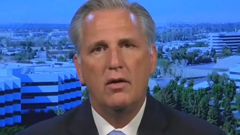 Kevin McCarthy Suggests Against All Evidence That Video Games Might Be Responsible for El Paso Shooting