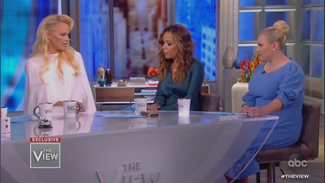 Meghan McCain Attacks Pam Anderson Over Julian Assange: ‘He’s a Cyberterrorist!’