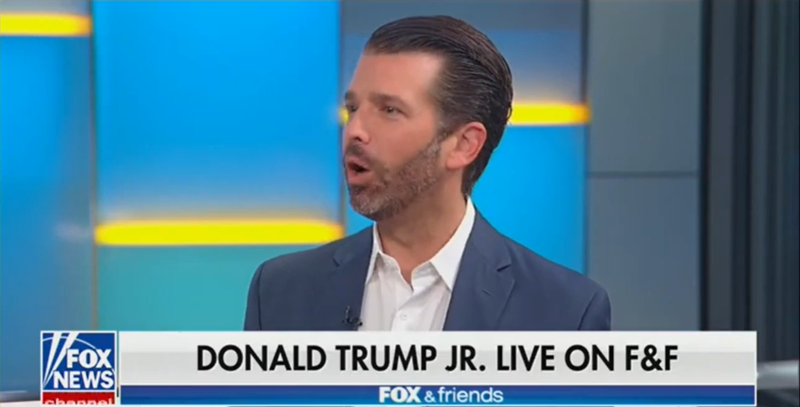 Donald Trump Jr.: Lt. Colonel Alexander Vindman Is ‘A Leftist Veteran’