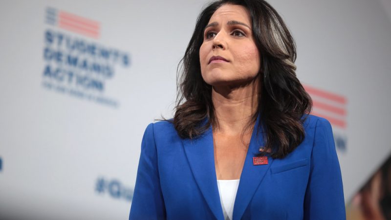 ‘The Federalist’ Publisher Ben Domenech Donated to Tulsi Gabbard’s Campaign This Summer