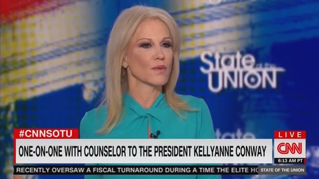 Kellyanne Conway Plays Dumb About Trump Disparaging Vindman, Taylor