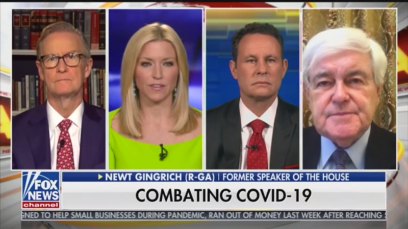 Newt Gingrich: Democratic Governors Want to Be ‘Little Petty Gods Who Get to Decide Life and Death’