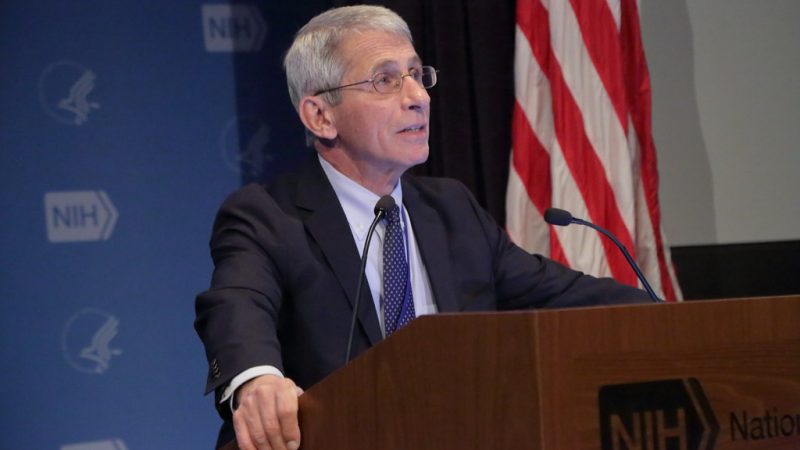 Dr. Fauci Will Tell the Senate that Reopening the Country Too Soon Will Cause ‘Needless Suffering and Death’