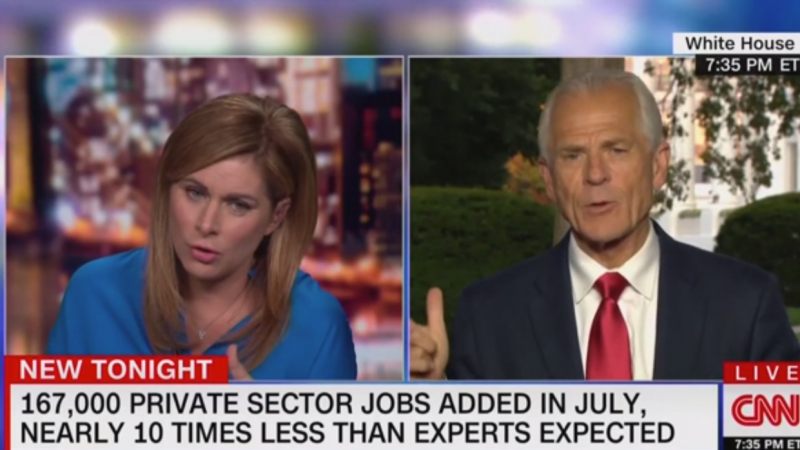 Peter Navarro Cites Creator of ‘Dilbert’ to Prove Doctors Wrong on Hydroxychloroquine