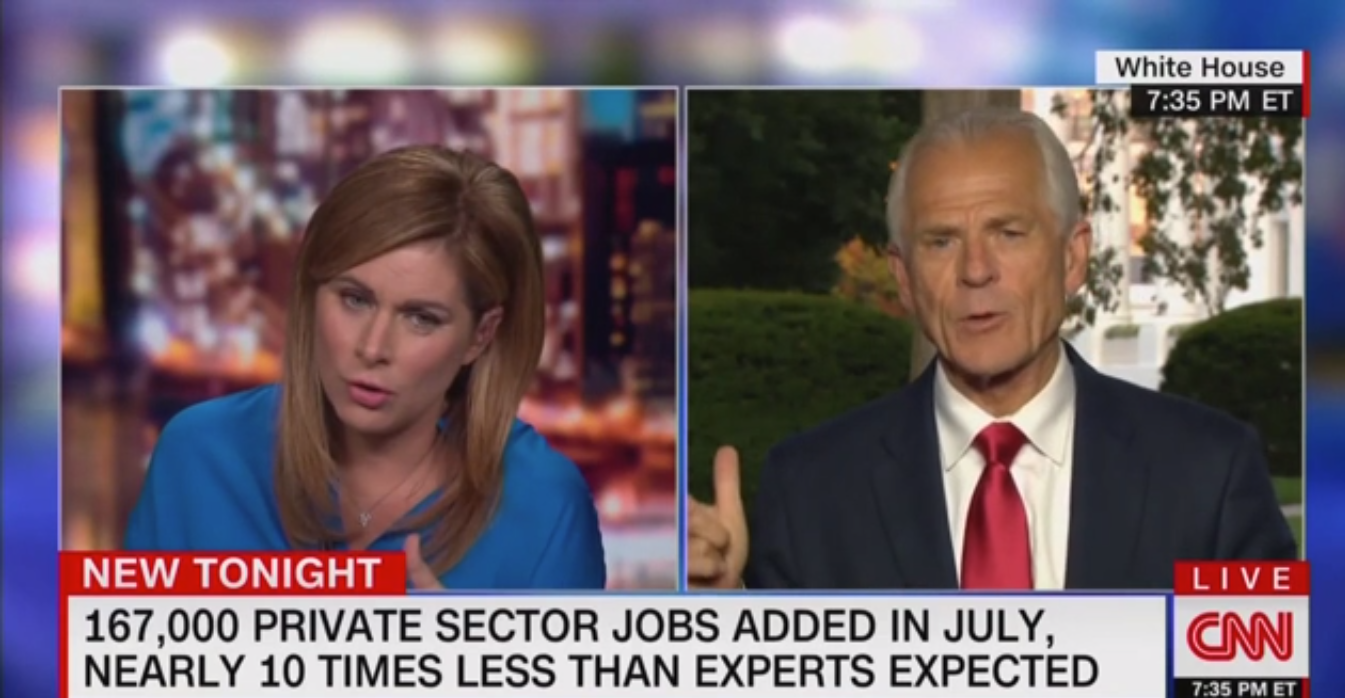 Peter Navarro Cites Creator of ‘Dilbert’ to Prove Doctors Wrong on Hydroxychloroquine